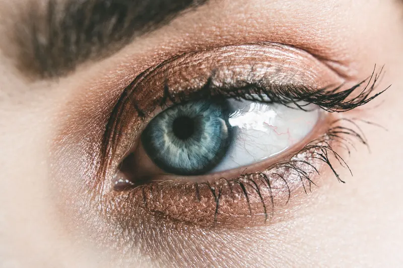Close-up of a blue eye with soft warm bronze eyeshadow and long lashes