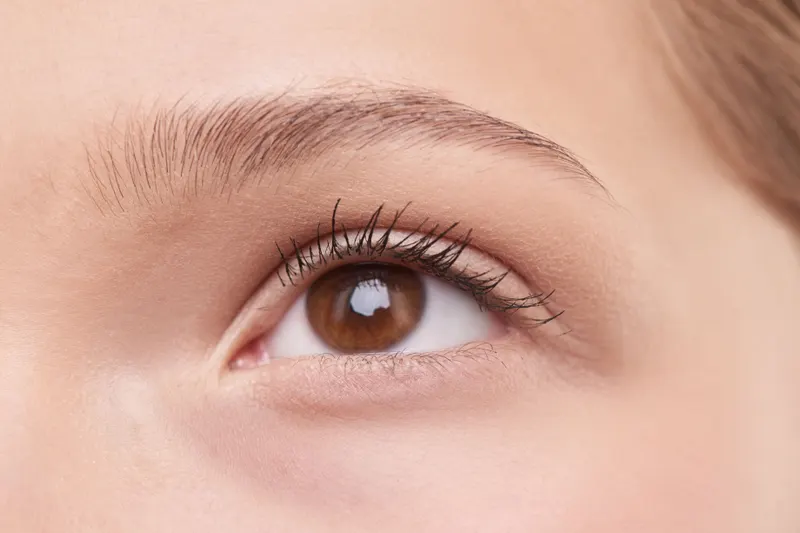 A close-up of a brown eye with natural, softly curled lashes and a groomed brow.