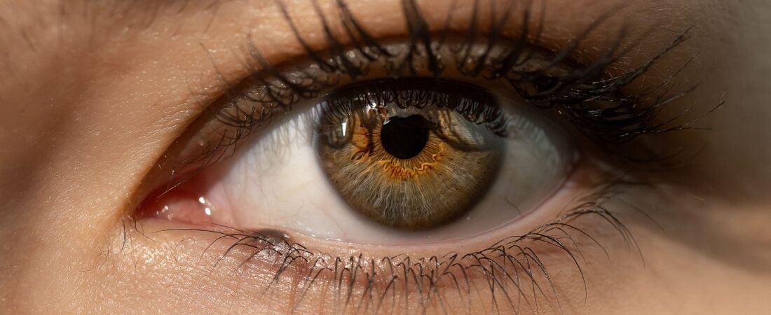 Everything To Know About Volume Lashes