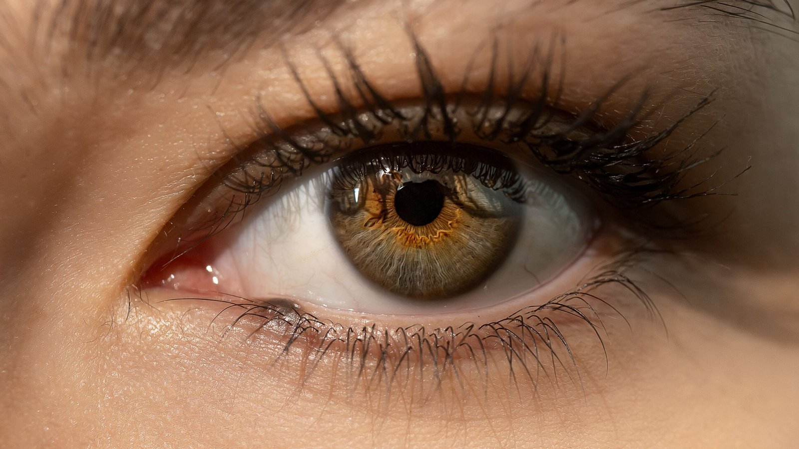 Everything To Know About Volume Lashes