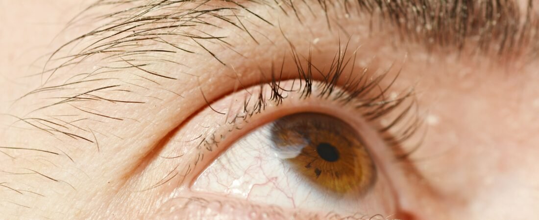 Olaplex Lash Serum: Everything A Bride Should Know