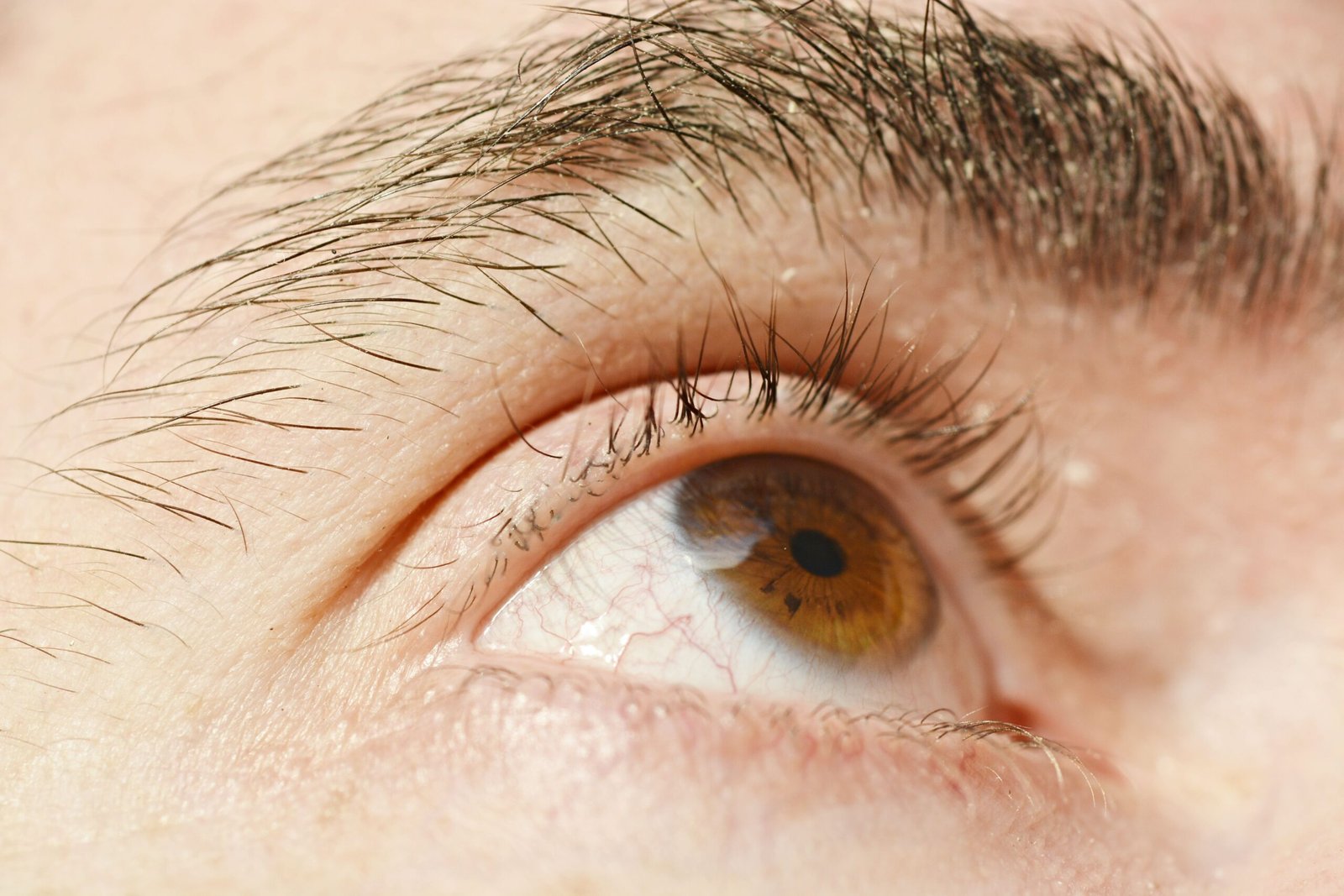 Olaplex Lash Serum: Everything A Bride Should Know